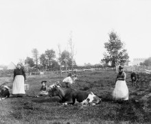 Mrs Harvey And Friends Near Harvey and Concord St - June 1896