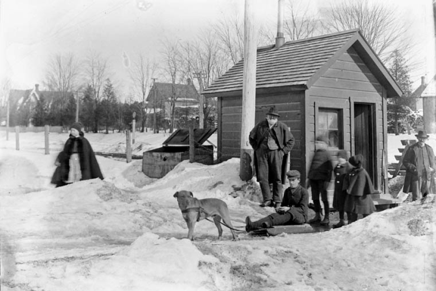Wallace dog and sleigh at Purdys crossing