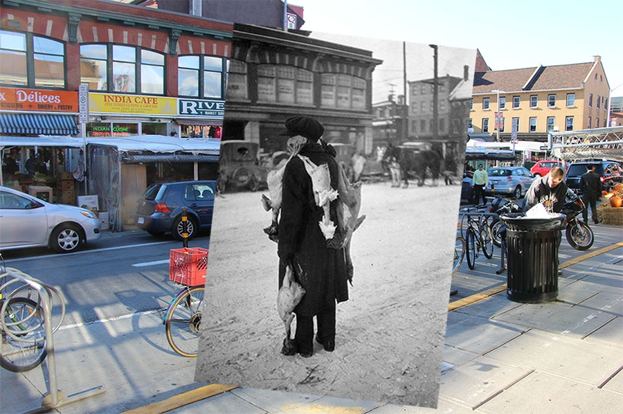 ManWithChickens-Boyd-1929-a-1