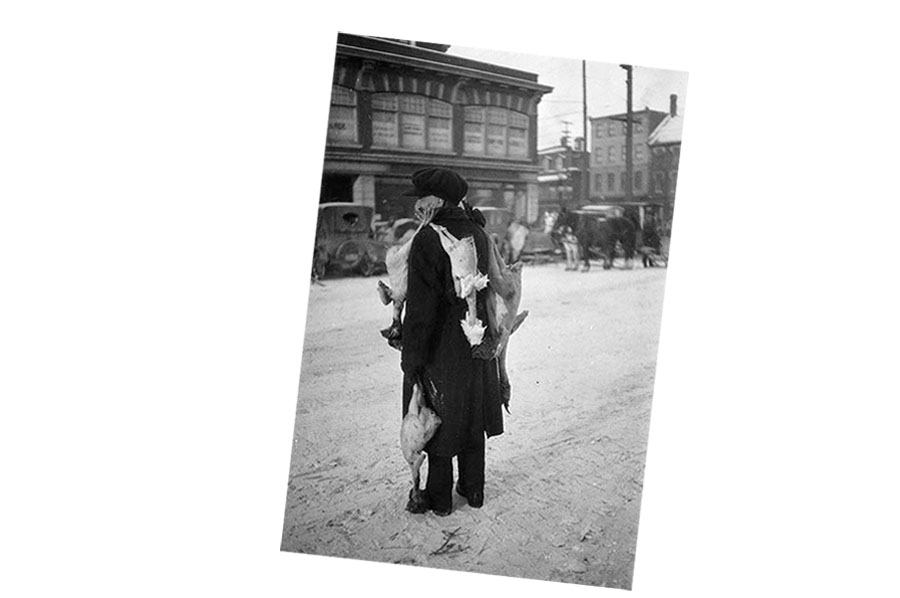 ManWithChickens-Boyd-1929-a-3